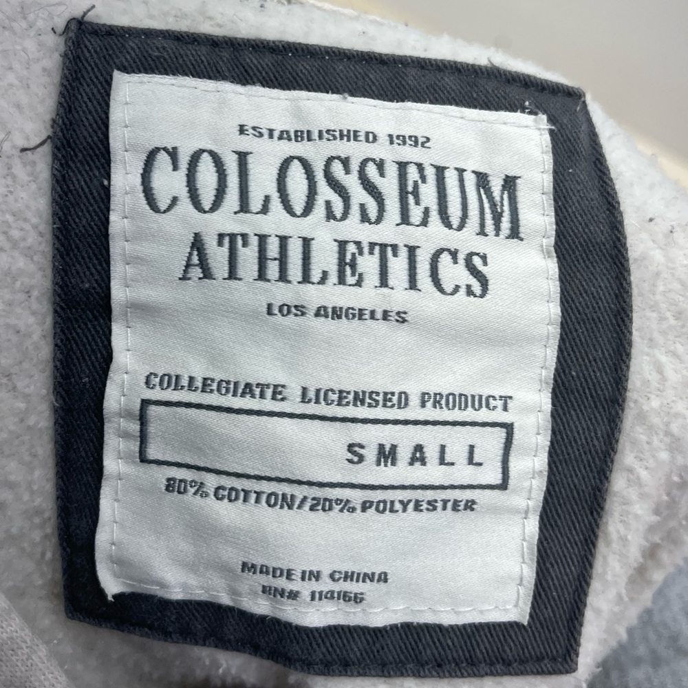 Colosseum Florida State Seminoles Cream and Gray Hoodie - Picture 3 of 4